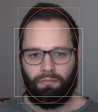 Head tracking and cropped masked image