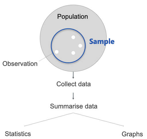 statistics_08