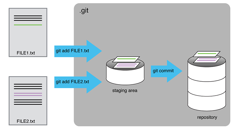 Script 03 - Git & GitHub