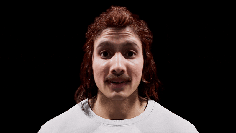 MetaHuman Avatar Example